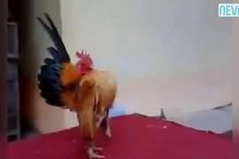 .